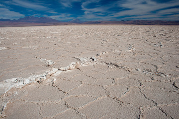 Fototapeta na wymiar Cracks in salt flats in Atacama desert, Salar de Atacama, Chile, South America
