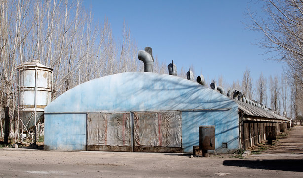 Chicken hatchery