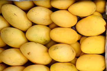 fresh ripe yellow mango fruits symmetrically to attrack buyers at market stall