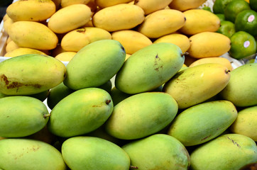 fresh green unripe mango fruits symmetrically to attrack buyers at market stall