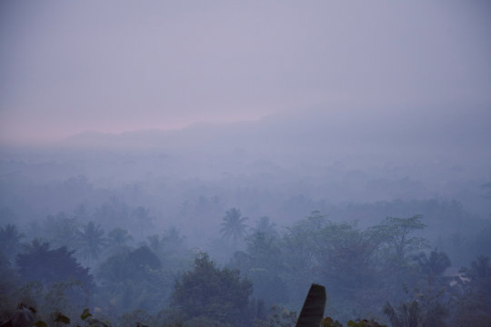 Sunrise in the indonesian jungle