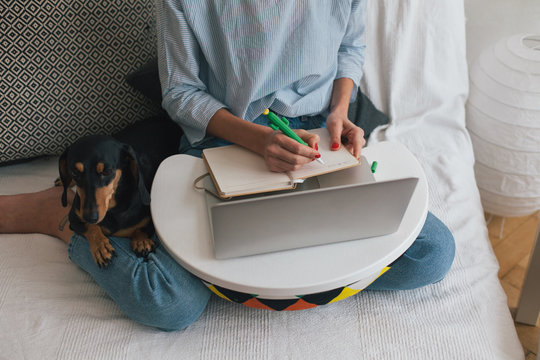 Woman using laptop indoor