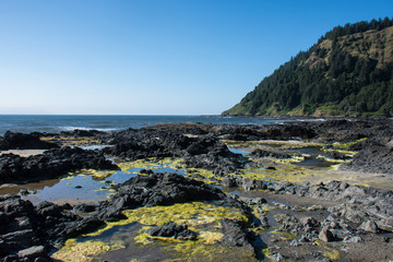 Fototapeta na wymiar Rocky ocean shoreline during low tide at the Scenic Cape Perpetua area along the Oregon Coast, along the Pacific Coast Highway
