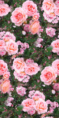 Pink rose flower garden grass summer nature seamless pattern texture background