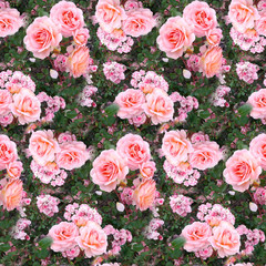 Pink rose flower garden grass summer nature seamless pattern texture background