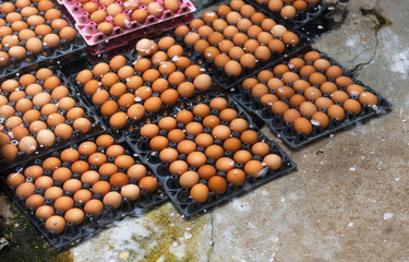 Boiled eggs in mineral water