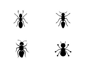 Ant Logo template vector illustration design
