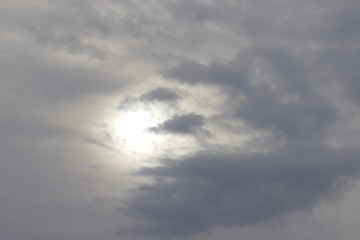 Shiloh Ranch Regional Park in southeast Windsor features a rugged landscape in the foothills of the Mayacamas Mountains. The park includes oak woodlands, forests of mixed evergreens,.