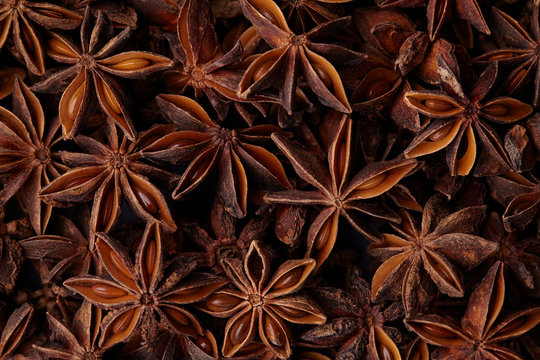 Star Anise Fruits