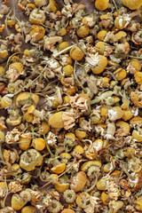 Dried chamomille flowers and stems.