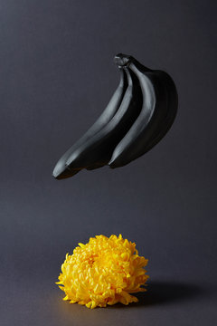flower and bananas on a black background