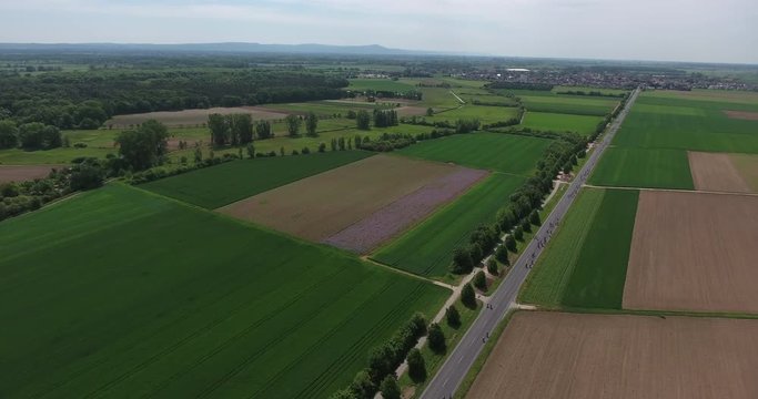 Luftaufnahme - Volksradfahren auf Landstraße - autofrei mit Landschaftsblick