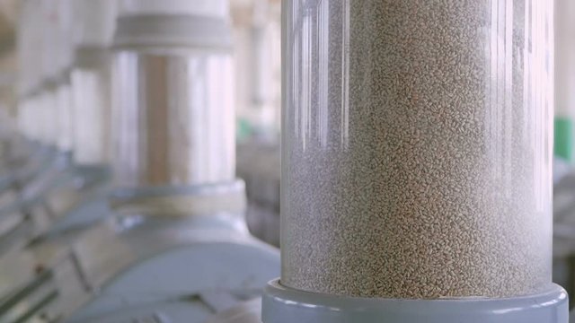Manufacture of flour and cereals. Wheat milling. Production of wheat flour. Wheat flour milling equipment at the plant.