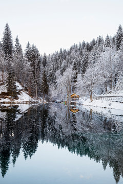 Lake on mountain during winter