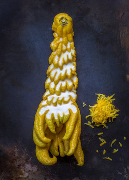 buddha's hand citron