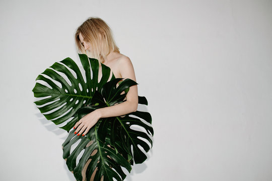 Model with giant leaves