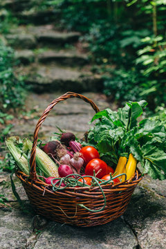 Veggies in a basket