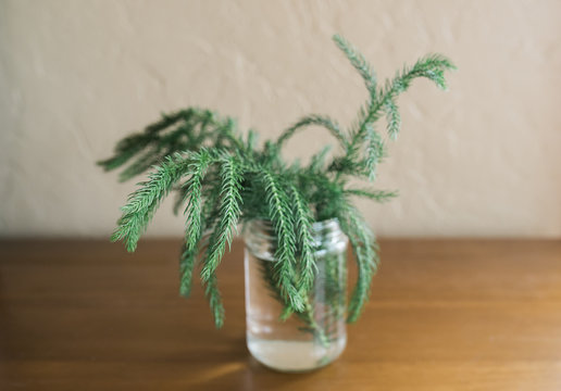 simple greenery in a glass jar