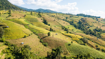 The most beautiful rice terraces at little hamlet of rolling rice terraces name Ban Pa Pong Piang and nestled in the mountains of Doi Inthanon national park in Chiangmai, Thailand (from hight view)