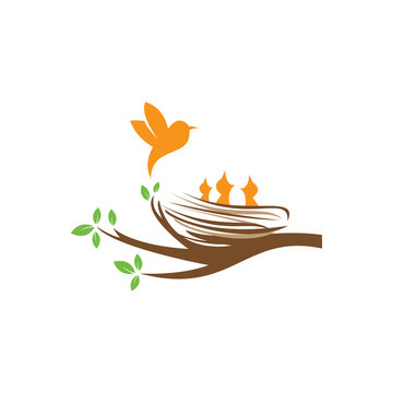 birds family in love logo design