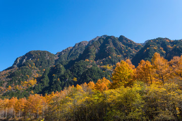 長野県　六百山の紅葉