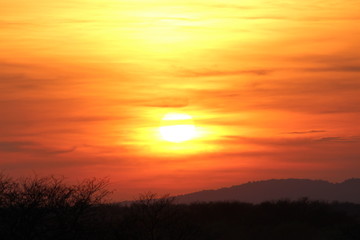Kalahari desert sunset