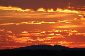 Kalahari desert sunset