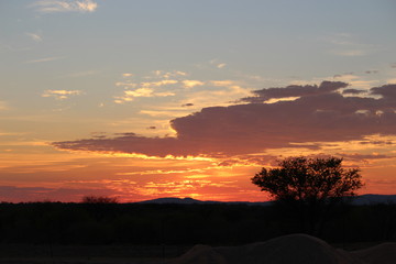 Kalahari desert sunrise