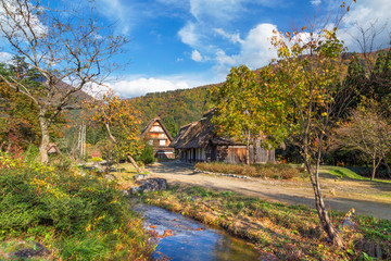 岐阜県　秋の白川郷の紅葉