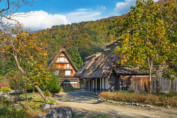 岐阜県　秋の白川郷の紅葉