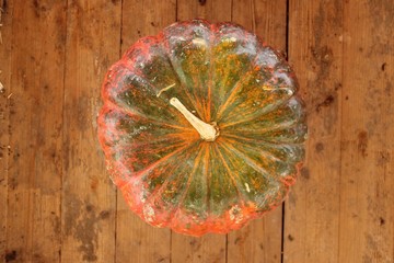 green red pumpkin on old wood background
