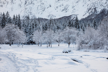 Lake on mountain during winter