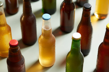 Lager beer in glass bottle amongst other beer bottles on table.