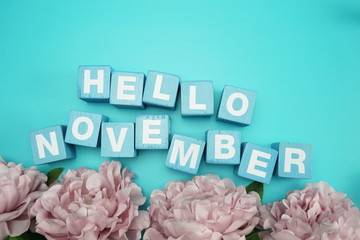 hello november alphabet letters with flower bouquet on blue background