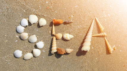 SEA word made of scallop seashells placed on the sandy beach, Chonburi, Thailand.
