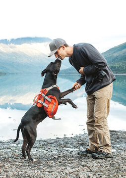 Man Giving His Pitbull a Kiss by Landscape