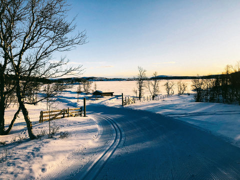 Cross-County Ski Run in Norwegian Winter Landscape