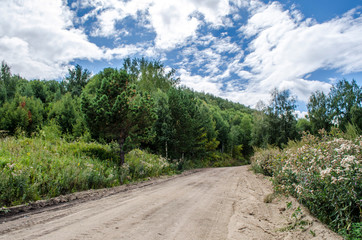 Fototapeta na wymiar Road to the mountains in summer. The Altai mountains