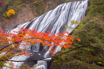 茨城県　袋田の滝の紅葉