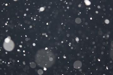 winter snow