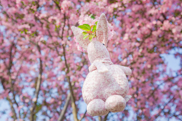 Rabbit doll hanging on a Begonia flower, background is pink