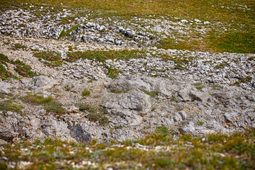 Rocky stones with green grass