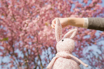 Rabbit doll hanging on a Begonia flower, background is pink