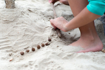 Hands of girl plays the sand on the beach decorated by pine cones