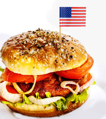 Classic american hamburger witch flag