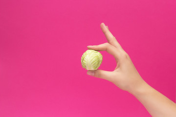 A small head of cabbage in the hand of a girl on a pink background, the concept of vegetarianism and diet, copy space