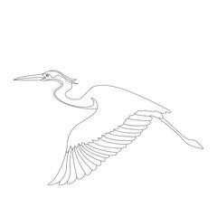 the heron is flying vector illustration   lining draw  
