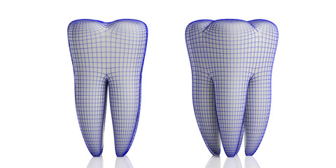 Tooth models and protective shield isolated on white background. 3d illustration