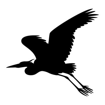 the heron is flying vector illustration  black silhouette