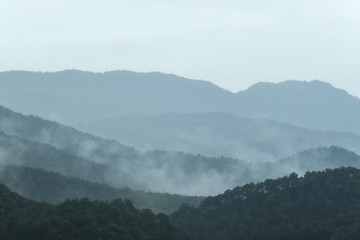 Landscape view in the countryside